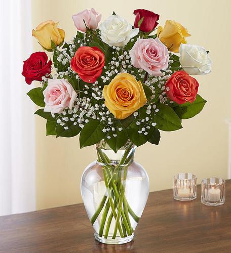 Rose Elegance&trade; Premium Long Stem Assorted Roses