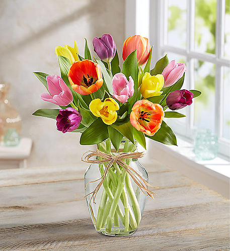 Timeless Tulips&reg;