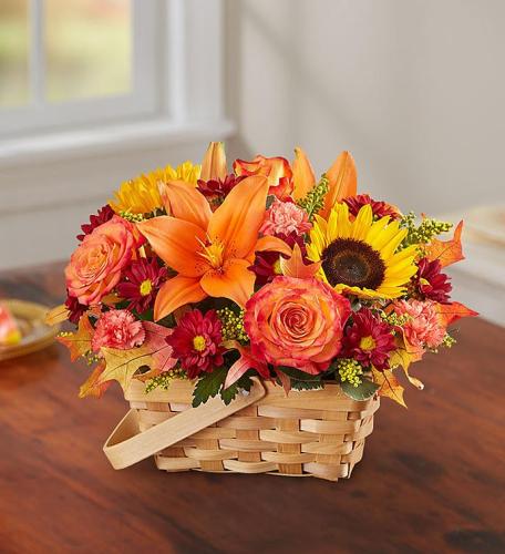 Fields of Europe&trade; for Fall Basket