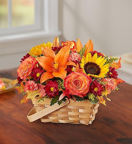 Fields of Europe&trade; for Fall Basket