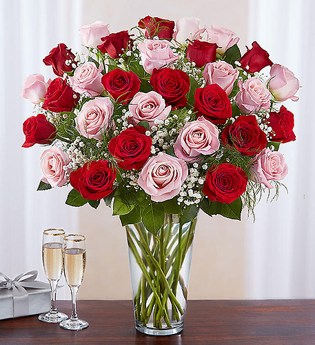 Ultimate Elegance Pink & Red Roses