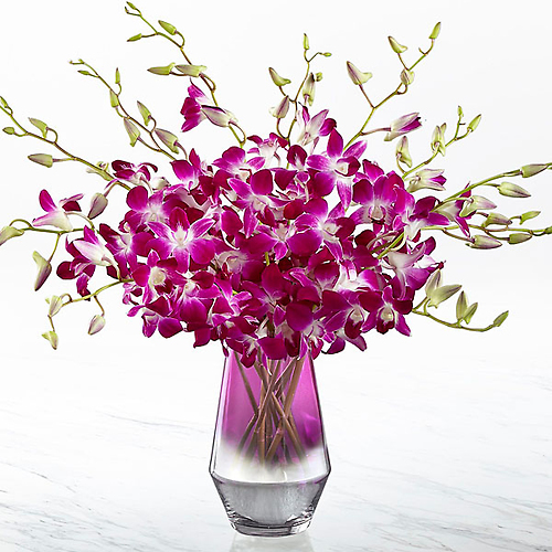 Pink at Heart&trade; Orchid Bouquet