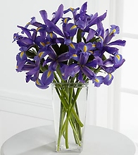 Iris Riches&#153; Bouquet